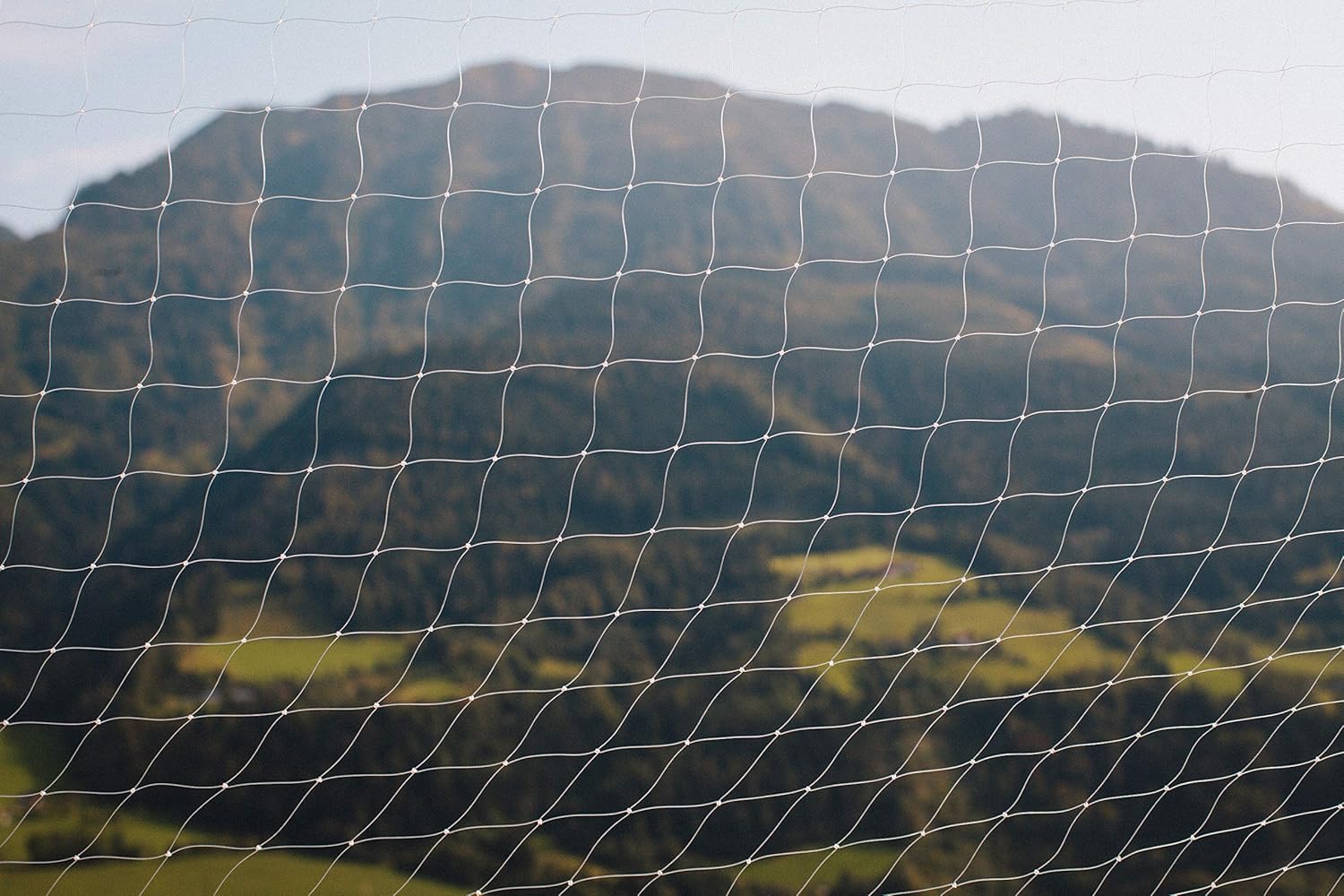 Samtpfote Premium Katzennetz Fur Fenster Und Balkon Extragrosses 8x3m Katzenschutznetz Balkonnetz Bissfest Amazon De Haustier