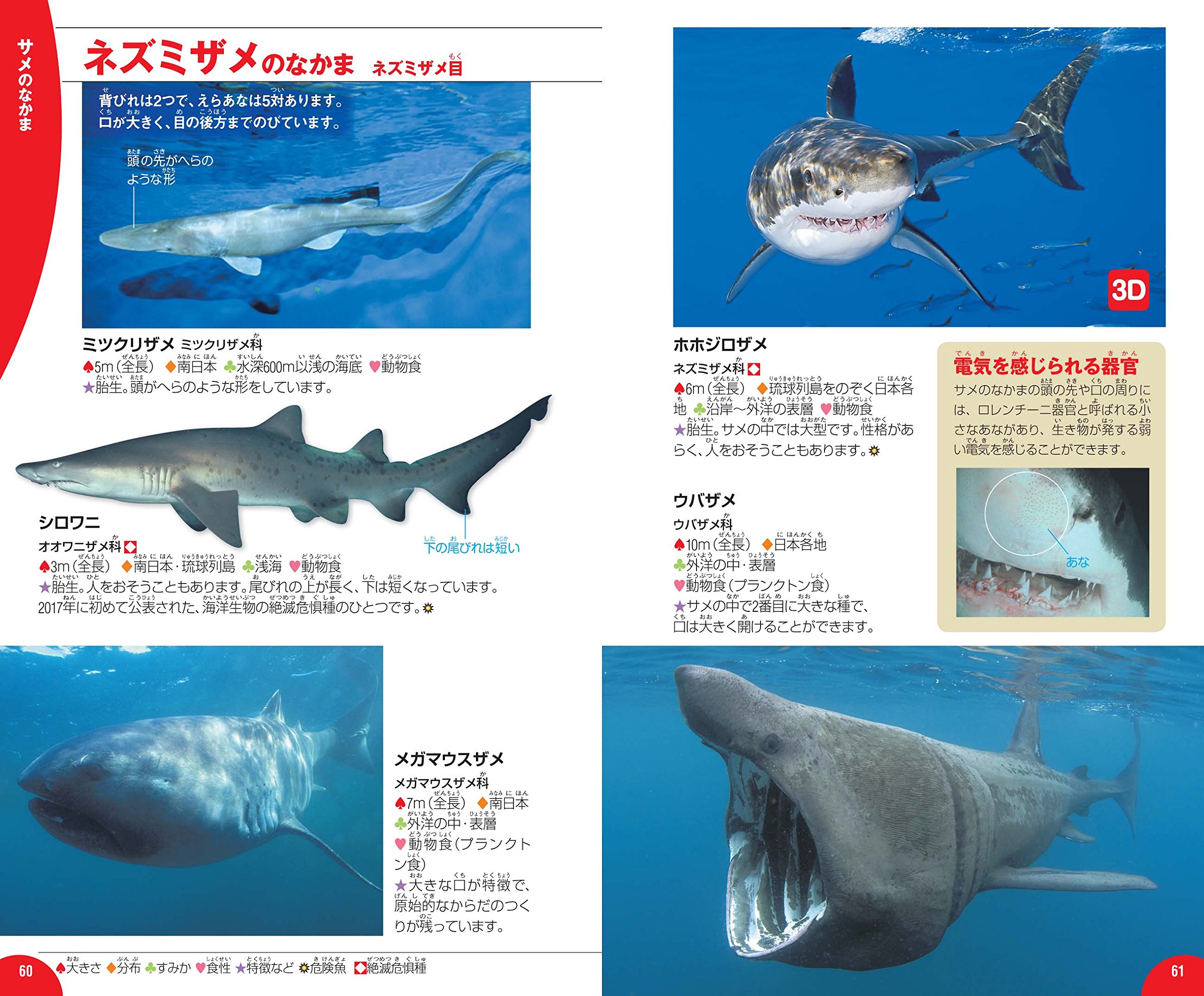 魚 学研の図鑑live ライブ ポケット Amazon Com Books