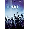 NIV, Outreach Bible, Large Print, Paperback