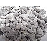 Aquatic Arts FilterPlus Bio-Media Aquarium Filter