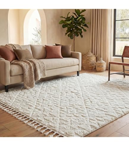 Amazon.com: JONATHAN Y Mercer Shag Plush Tassel Cream Indoor Area