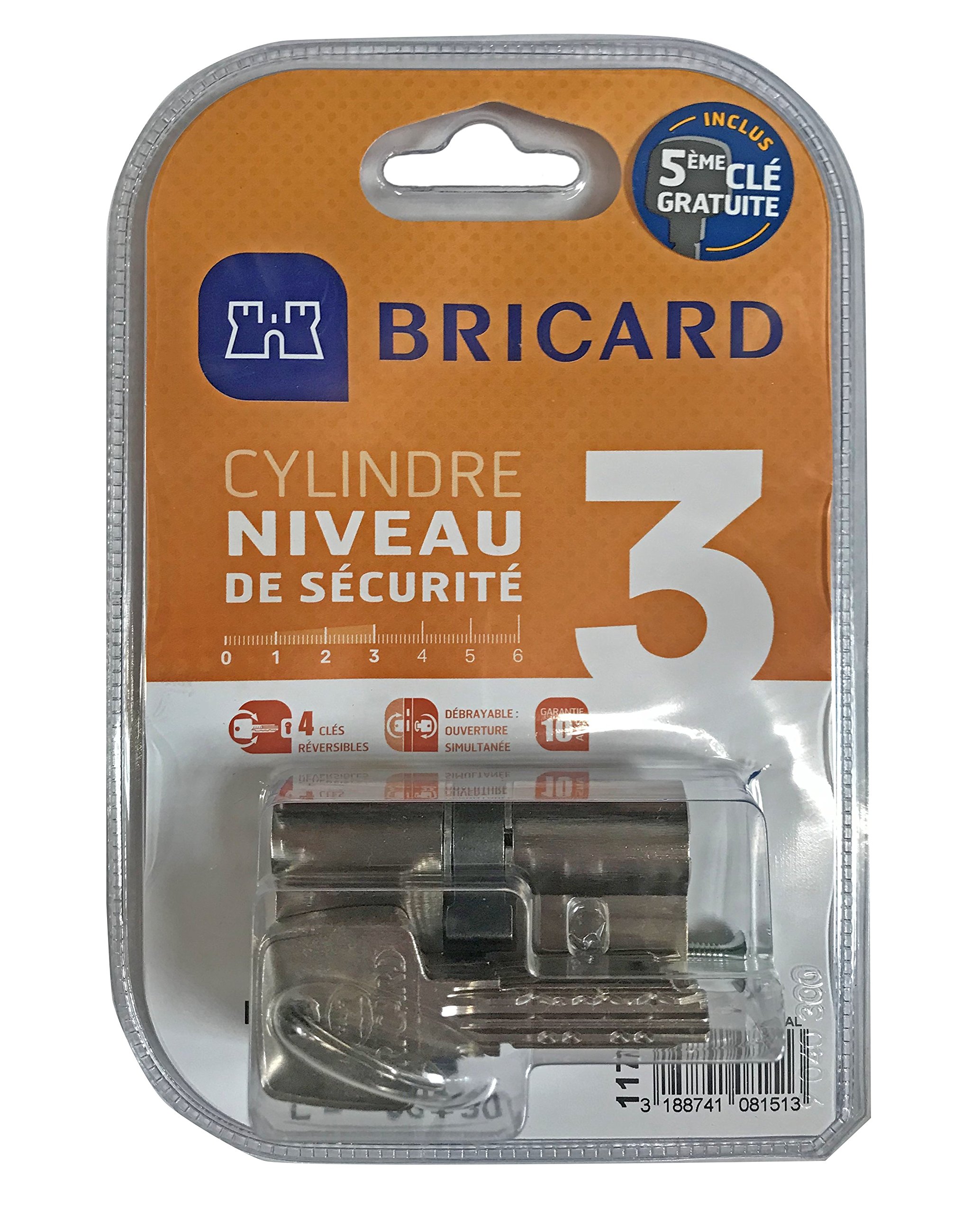 Bricard 11734 Astril 2.9 5 Keys Release Cylinder Made Brass, 10 Pistons, 2 inputs, Protection Against Drilling and Picking. Personal Card, Nickel-Plated Steel, 70 = 30+40