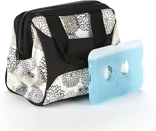 fit & fresh downtown insulated lunch bag