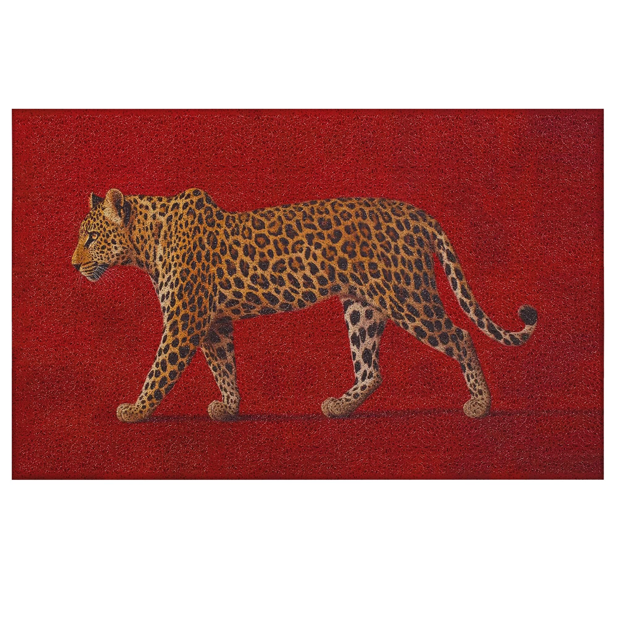 Photo 1 of ignytiger Red Leopard Cheetah Tiger Welcome Door Mat Outside Entrance for Home Bathroom, Cheetah Tiger Bath Rug Mats Outdoor Indoor Entryway Floor Bedroom Doormat, Funky Bathroom Decor, 17x30 Inches