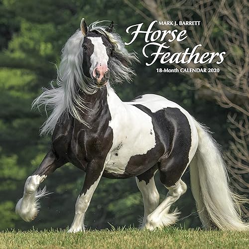 Download Horse Feathers 2020 Calendar PDF