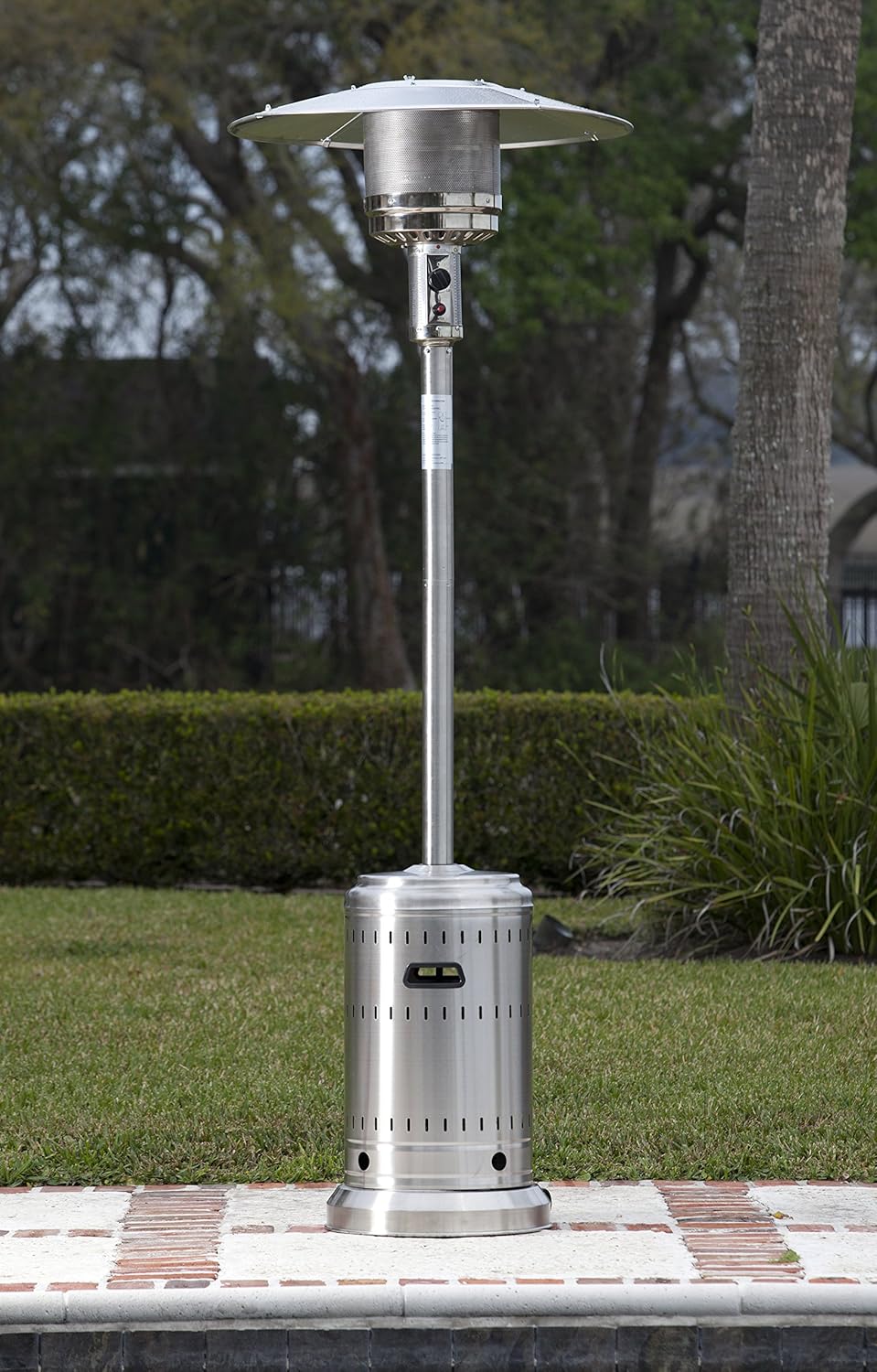  Basics Outdoor Patio Heater with Wheels, Propane 46, 000 BTU, Commercial & Residential - Stainless Steel : Garden & Outdoor