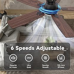 SUNMORY 42" Ceiling Fans with Lights and Remote/APP