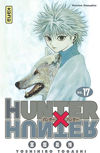 Download Hunter X Hunter, tome 17 PDF