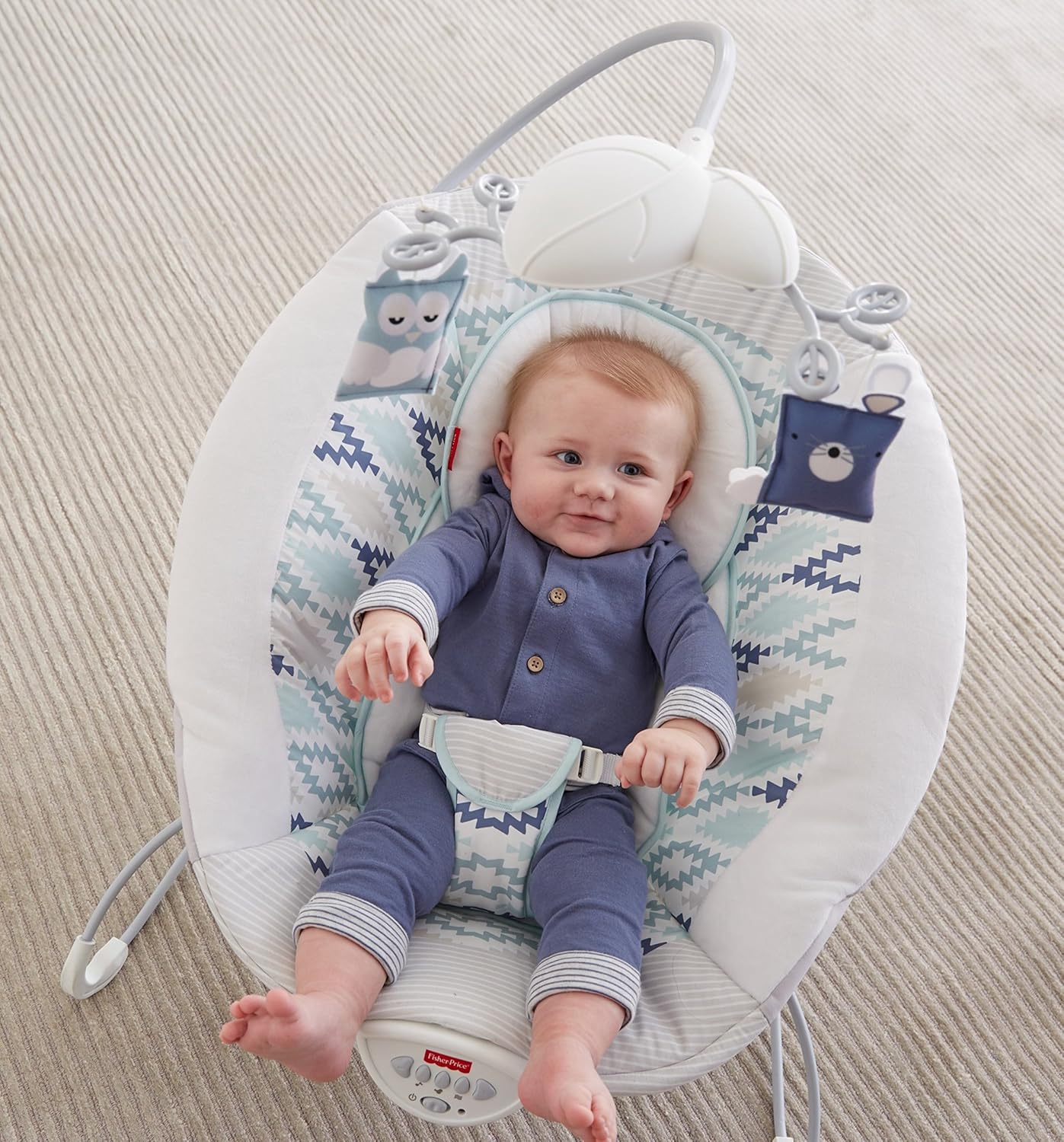 Bouncers Exclusive Fisher-Price Woodsy Wonders Deluxe Bouncer Baby