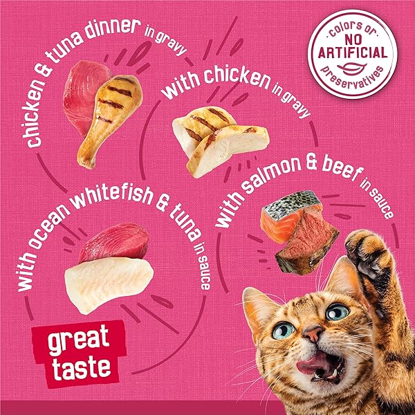 PURINA FRISKIES GRAVY WET CAT FOOD VARIETY PACK, SURFIN’ AND TURFIN’ PRIME FILETS FAVORITES – 48 CT. CAN