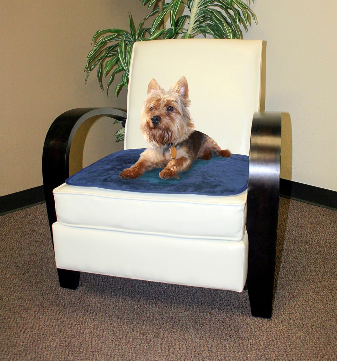 RMS Washable & Reusable Incontinence Chair Pad, Seat Protector & Bed Pad (Blue): Industrial & Scientific