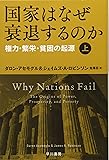 国家はなぜ衰退するのか(上):権力・繁栄・貧困の起源 (ハヤカワ・ノンフィクション文庫)