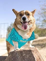 NFL Miami Dolphins Dog Jersey, Size: XX-Large. Best