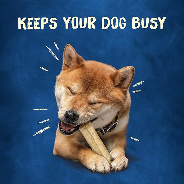 PURINA BUSY RAWHIDE SMALL/MEDIUM BREED DOG BONES, ROLLHIDE – 9 CT. POUCH