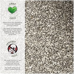 Seed Needs, Black Tomato Seed Packet Collection
