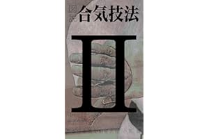Illustrated AIKI manual #2: nikajou/omote (Japanese Edition)