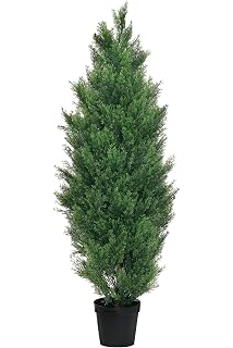 91DMlmmfbyL._AC_UL320_SR214,320_.jpg