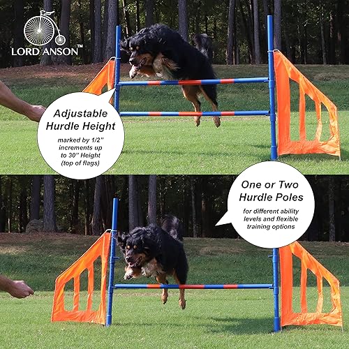Lord Anson Dog Agility Jump Dog Agility Equipment Competition