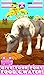 Virtual Pet Pony