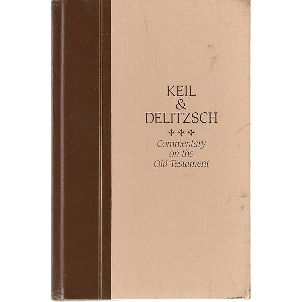 10 Volume Set : Keil and Delitzsch Commentary on the Old Testament