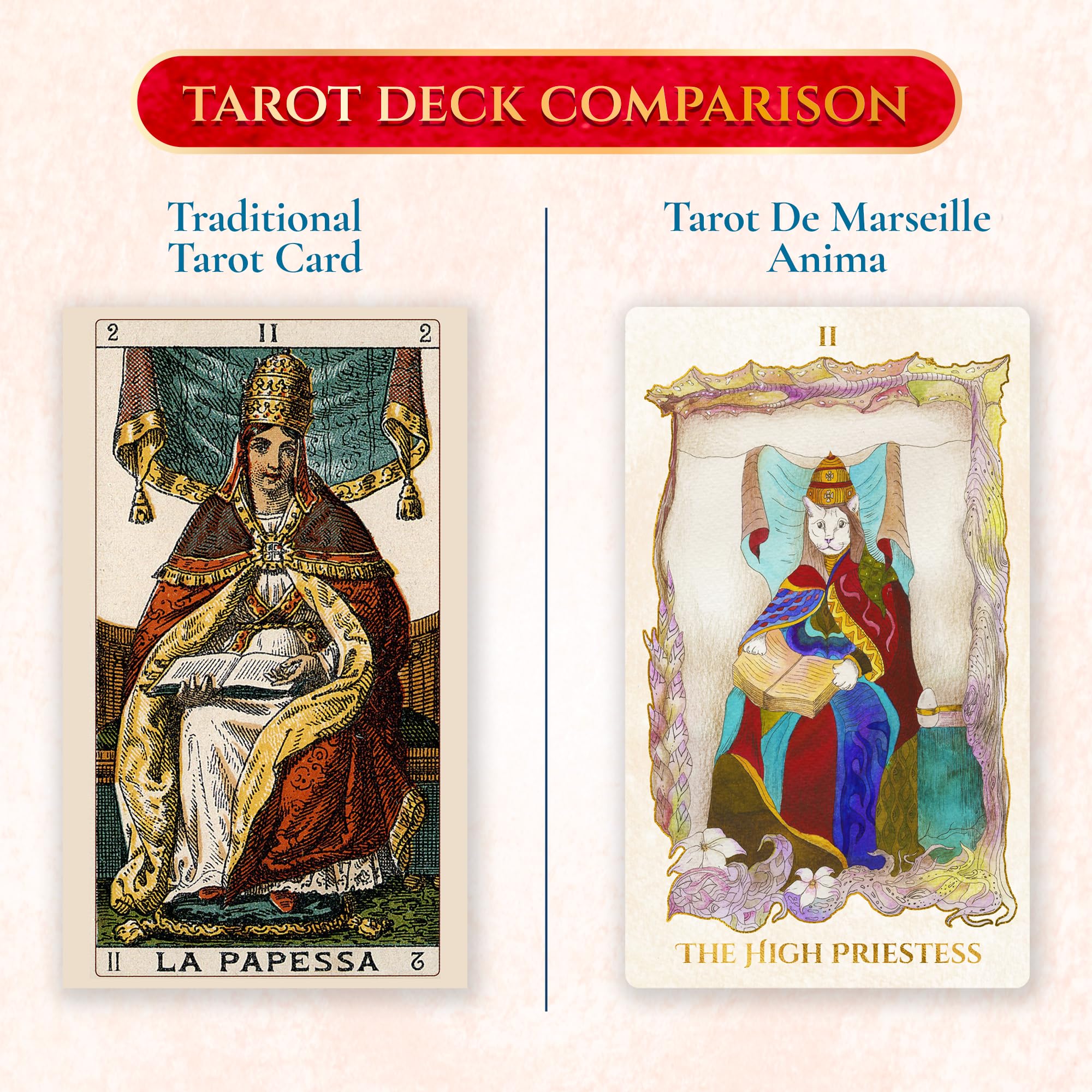 Earth Moon Magick - Anima Tarot de Marseille Cards – 78 Card Deck with Gold Gilded Edges and Guidebook for Beginners and Experts – Animal & Floral Symbolism Tarot Deck for Intuitive Readings