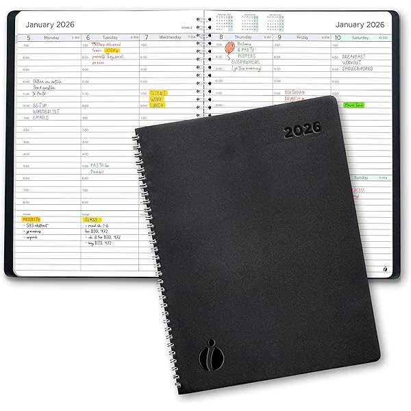 The Daily Docket: - A Daily Professional Planner For Attorneys/Lawyers/ Professionals: Clapp, Hannah, Wall, Josie