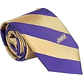 Desert Cactus James Madison University Neck Tie JMU Dukes 100% Polyester Necktie with Logo, Officially Licensed