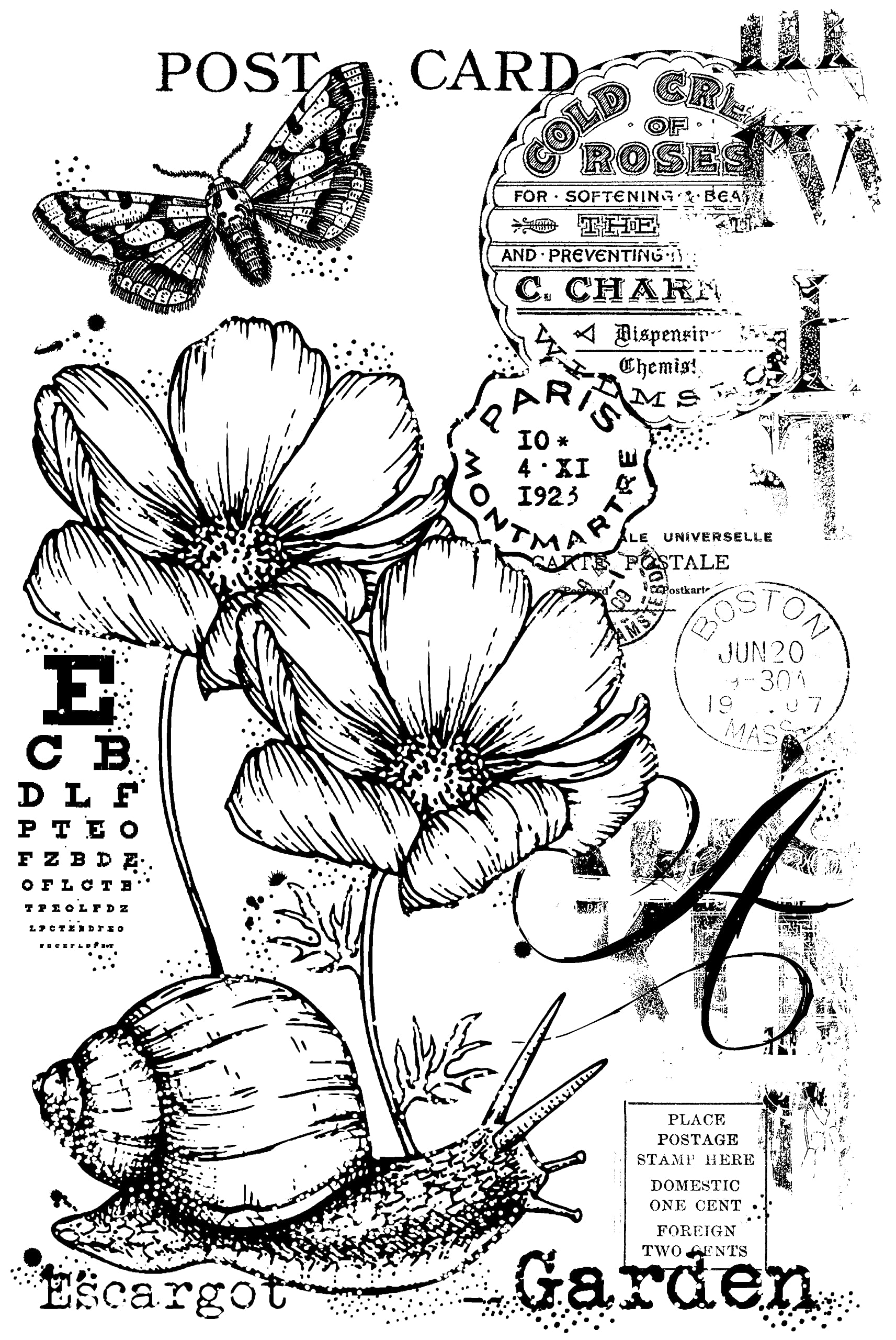 Woodware Francoise Collection-Garden Snail-Clear Stamp, 6 x 4 inches