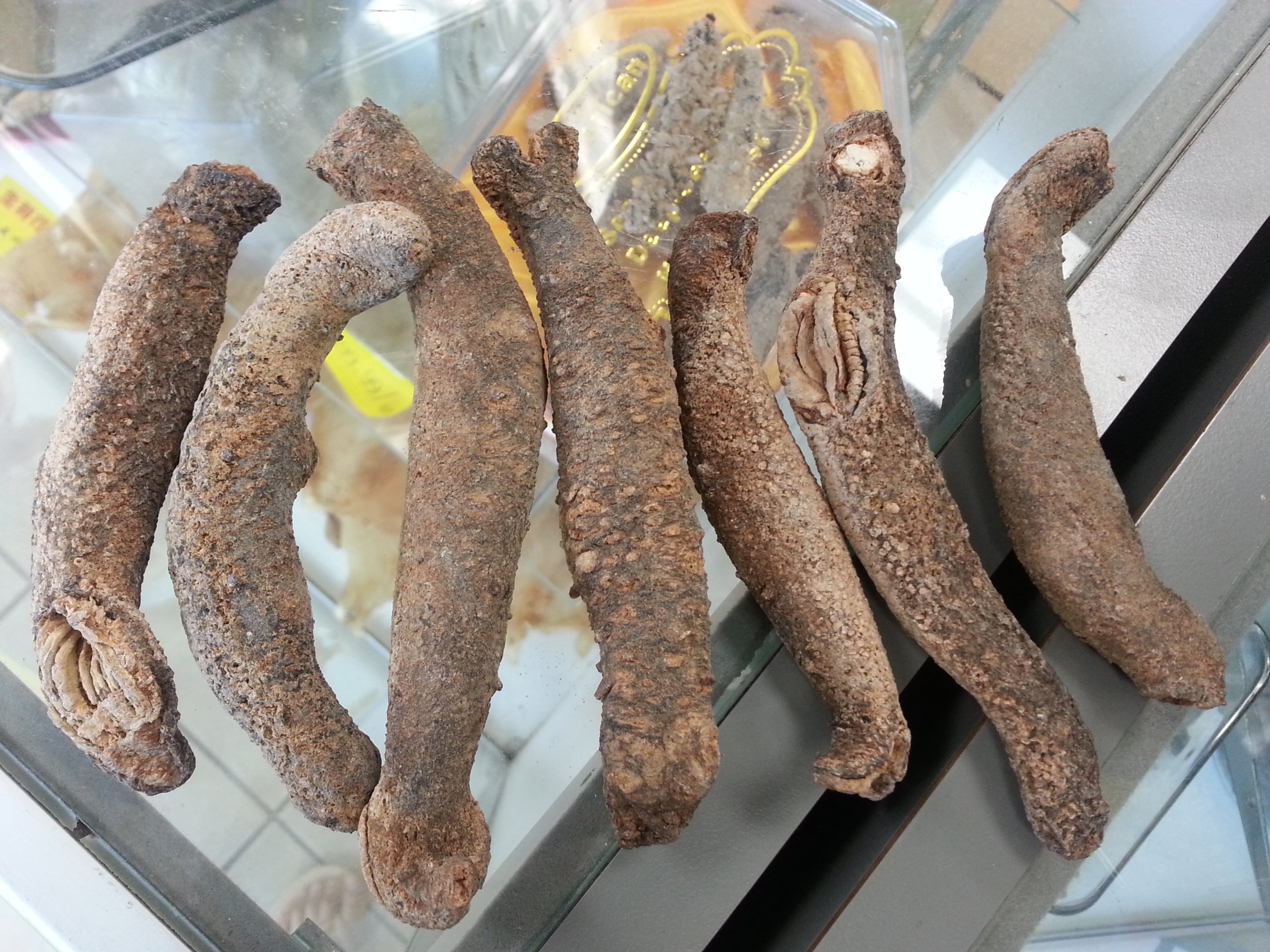 ERLIN 1LB Sun Dried red Sea Cucumber from Alaska medium size Buy