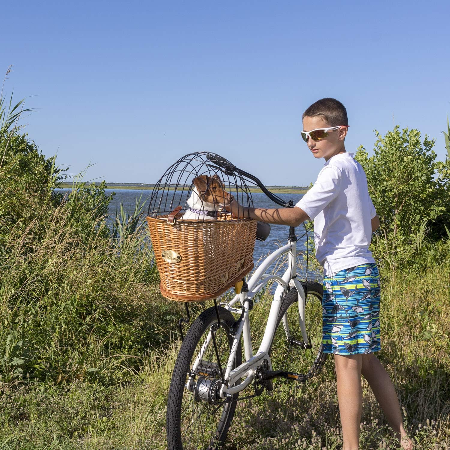 rear mounted dog basket for bike