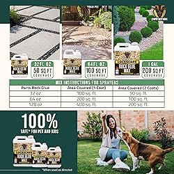 Petra Max Rock Glue for Landscaping, 32 Ounce
