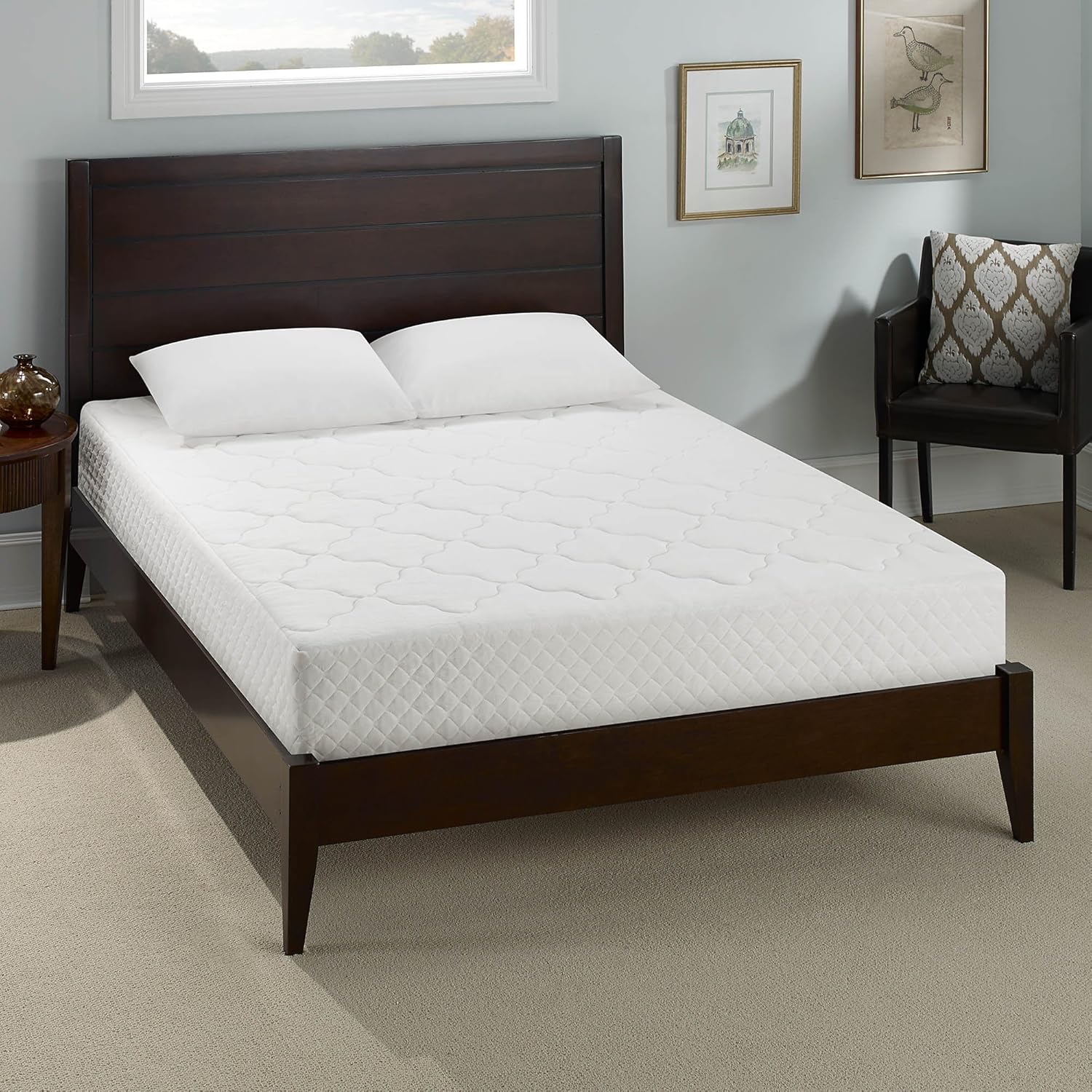 Best Temperpedic Queen Bed Frame Box Spring Required