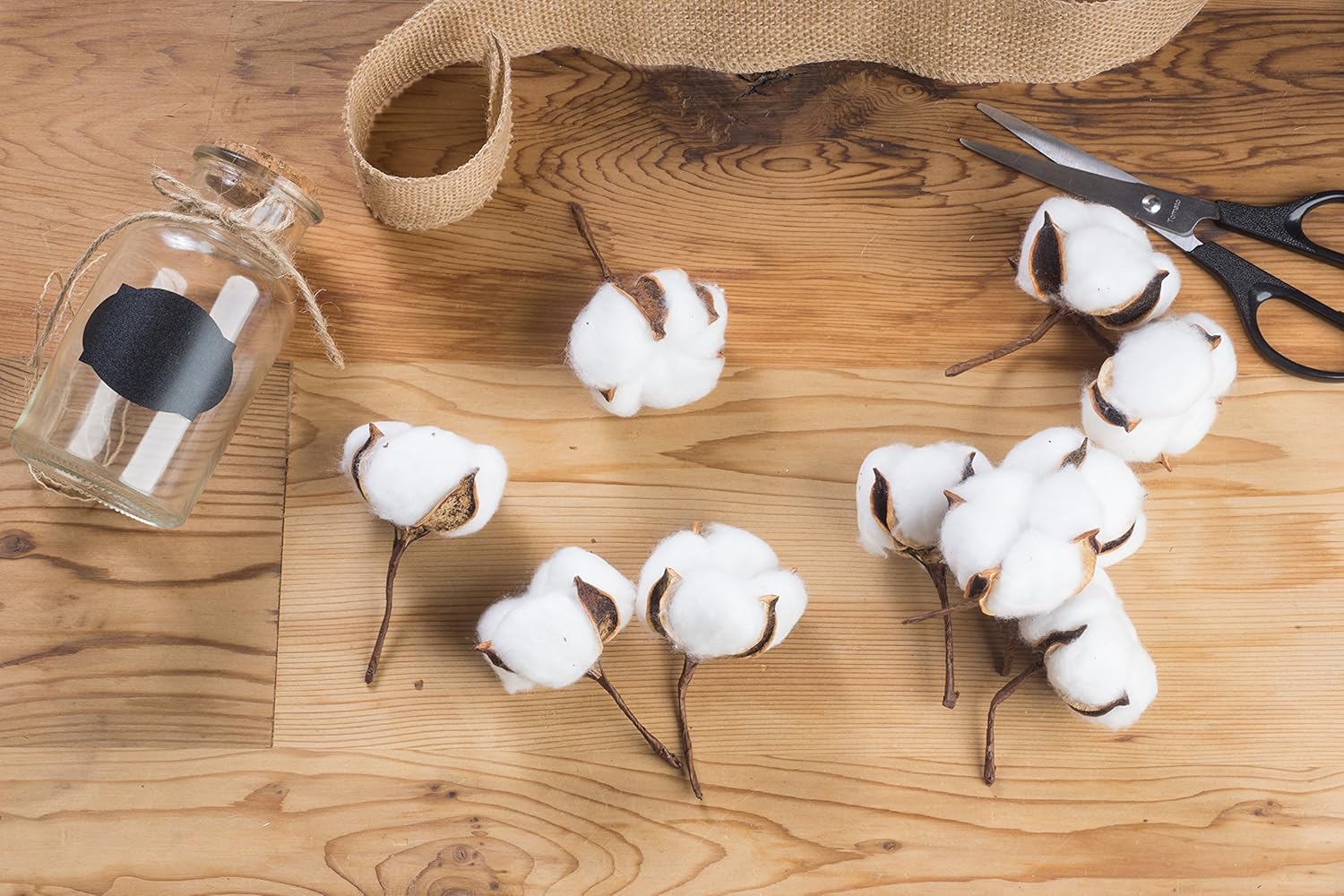 Home Garden Cotton Bolls 24 Pack Natural Color Dried Balls