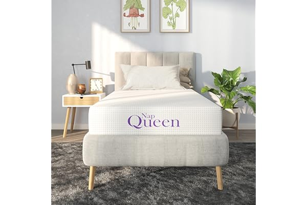NapQueen 8 Inch Bamboo Charcoal Twin Size Medium Firm Memory Foam Mattress, Bed in a Box