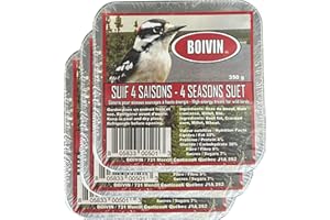 Boivin 4 Seasons Wild Bird Suet, High-Energy Treat for Wild Birds, 350g (Pack of 3 = 1050g)
