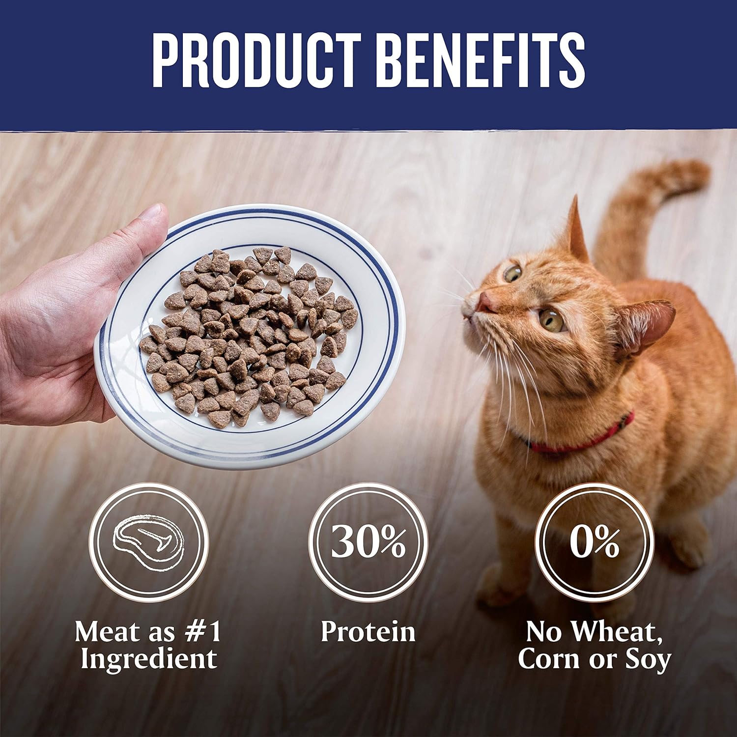 farmers market natural pet food