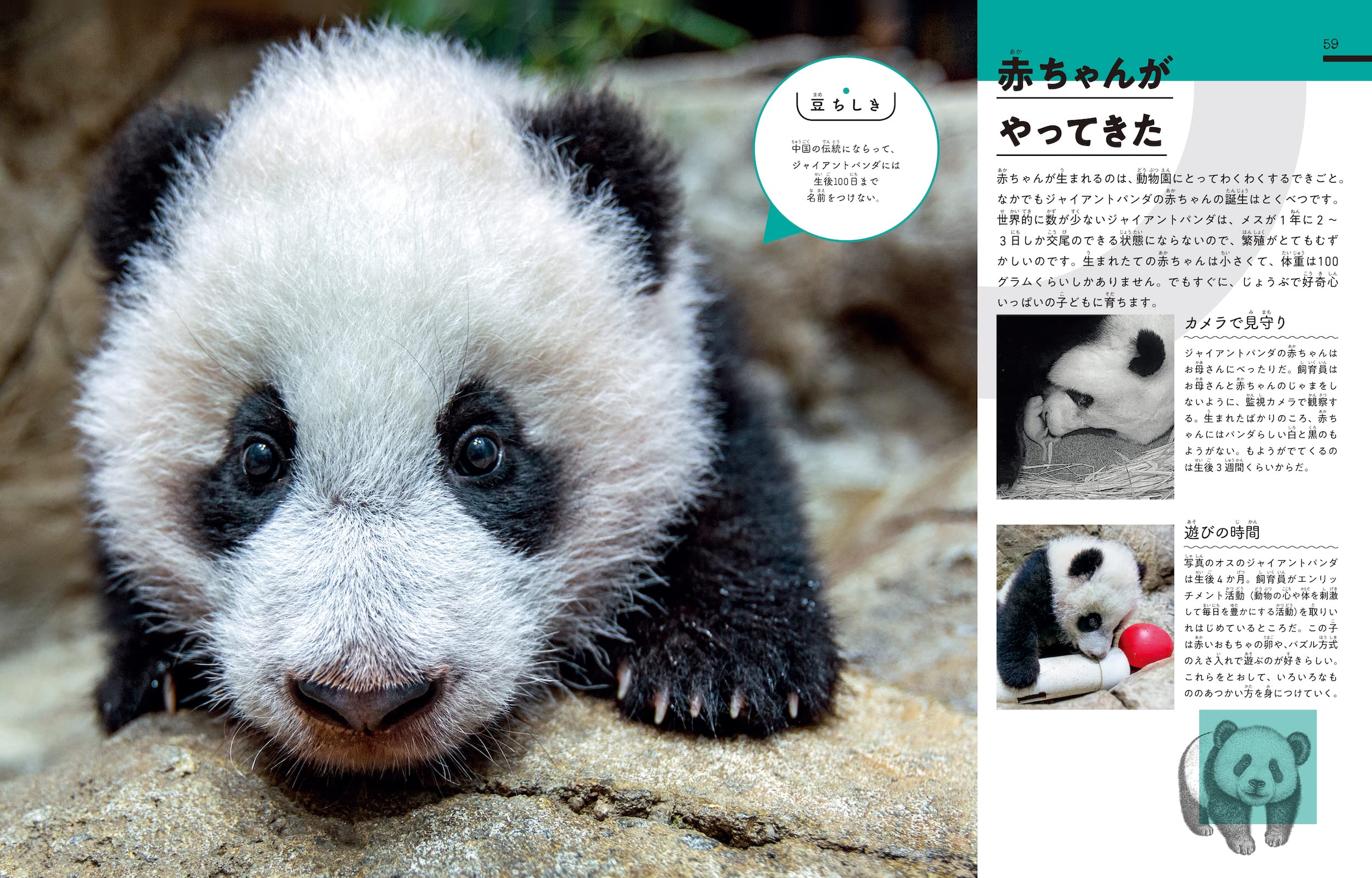 びっくり 動物園のおしごと大図鑑 70のひみつにせまる Dk社 小林 玲子 本 通販 Amazon びっくり 動物園のおしごと大図鑑 70のひみつにせまる Dk社 小林 玲子 本 通販 Amazon