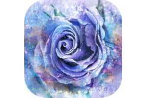 Free Guided Meditation and Relaxation