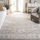 SAFAVIEH Avalon Collection Area Rug - 9' x 12', Grey & Light Blue, Traditional Oriental, Ideal for High Traffic Areas in Livi