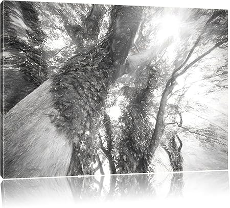 Pixxprint Arbre Merveilleux Dans Leffet De Dessin Au Fusain