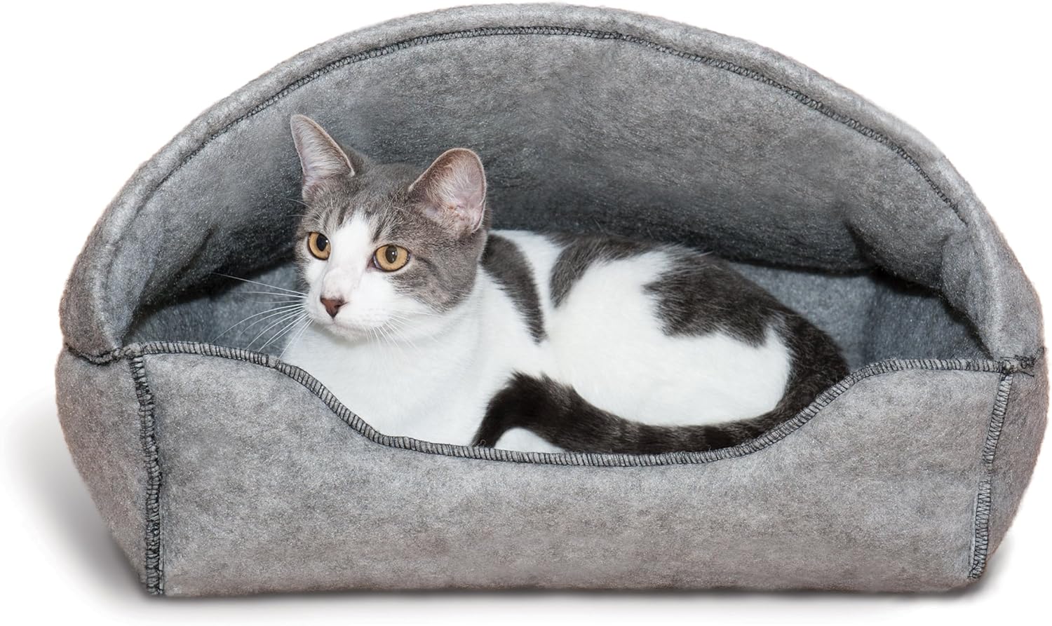 martini the fabulous cat lounger