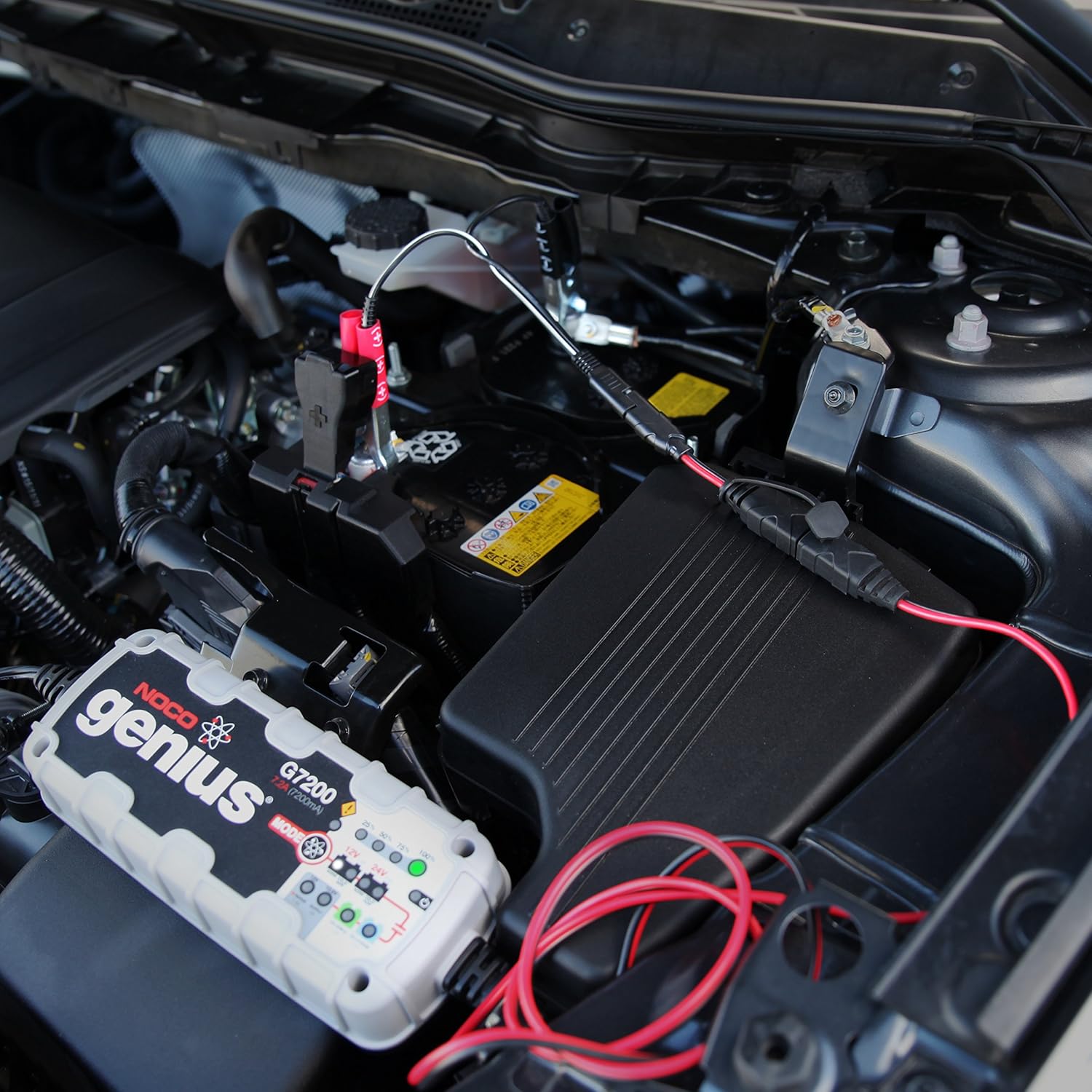 NOCO GC009 X-Connect SAE Adapter Accessory For NOCO Genius Smart Battery Chargers: Automotive