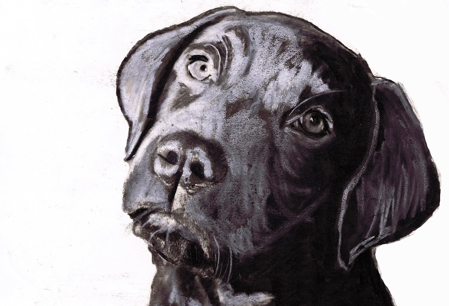 painting of black lab