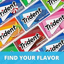 Trident Wintergreen Sugar-Free Chewing Gum, 12