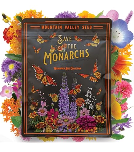 Amazon.com : Massachusetts Bulk Wildflower Seed Mix 1/4lb Covers 500sq-ft -  Attract Pollinators, Multi-Color Perennial and Annual Non-GMO Blooms -  Northeast US Species Plant in Spring/Fall (1/4 Pound) : Patio, Lawn &