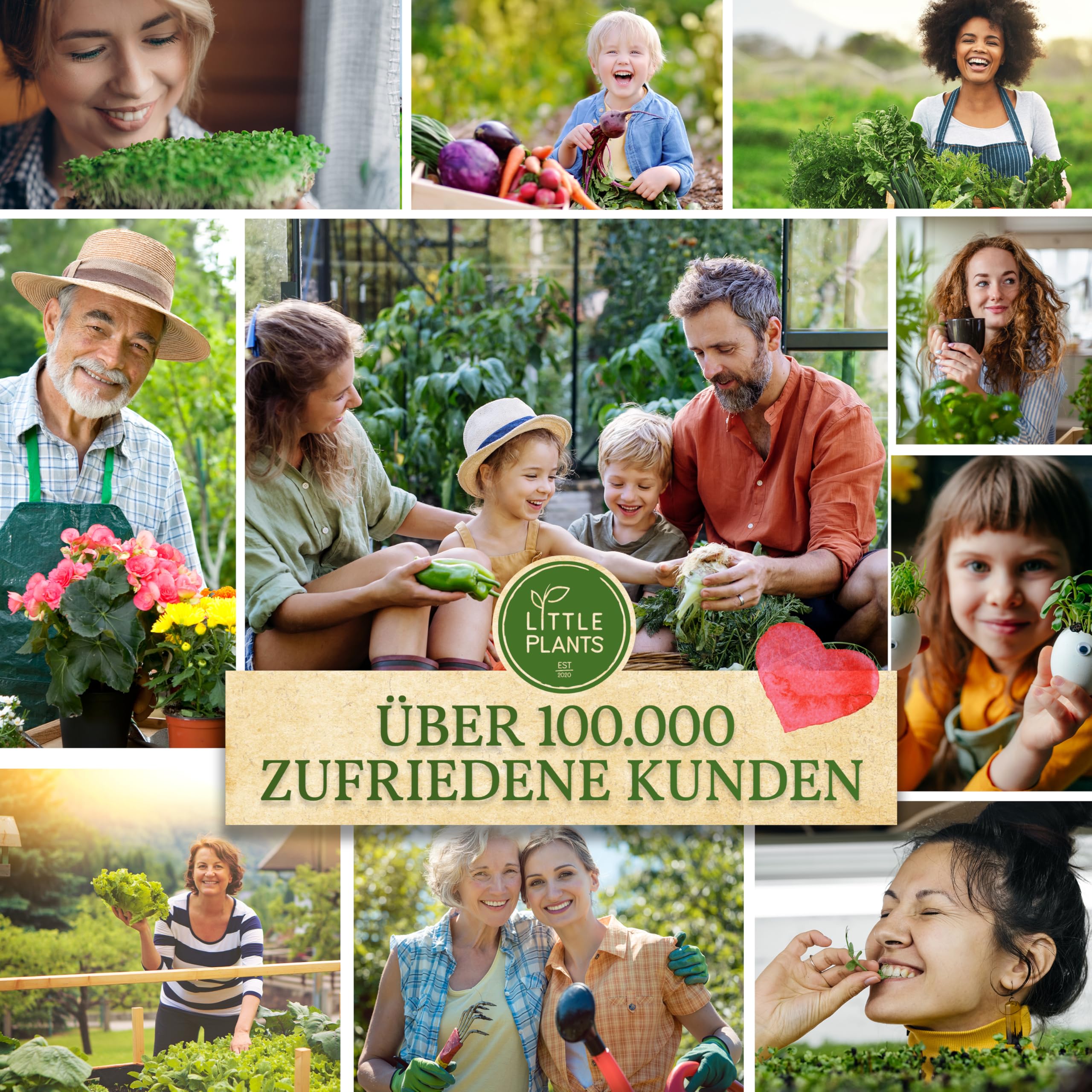 Bio Hochbeet Gemüsesamen Set, 15 Sorten, Samenfest und Keimstark, mit Aussaatkalender und Ebook 8