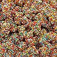 Crunchy Gummy Bears Candy | 1-Pound Pack | Rainbow Nonpareils Bits