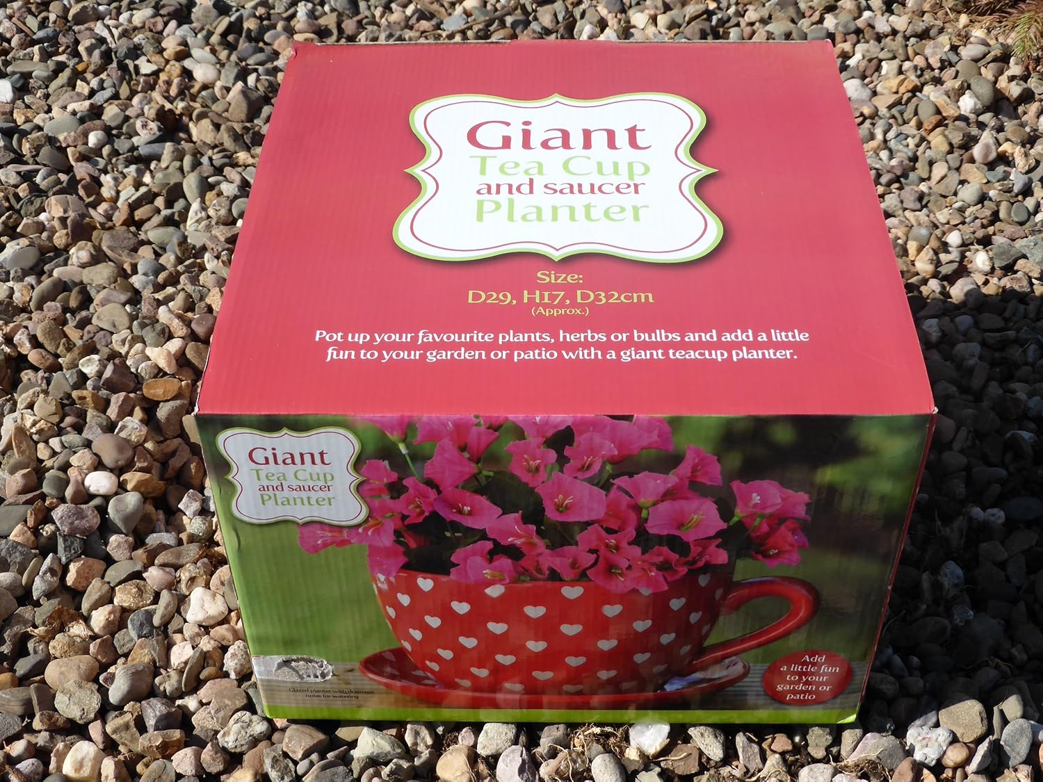 Giant Tea Cup and Saucer Planter Love Hearts Amazon.co.uk Garden