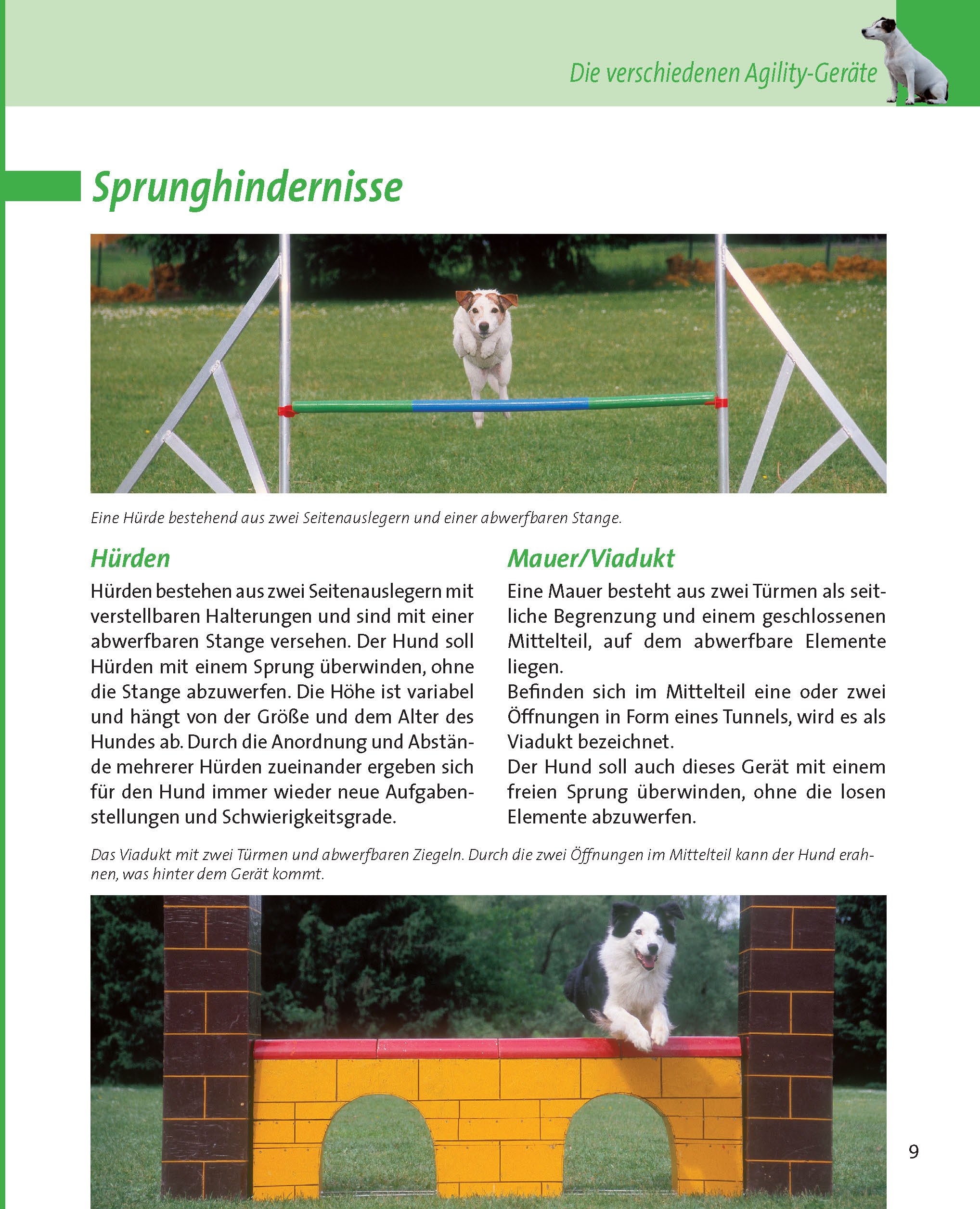Agility Die Hundeschule Amazon De Reichenbach Uta Krebernik Sinner Tanja Bucher