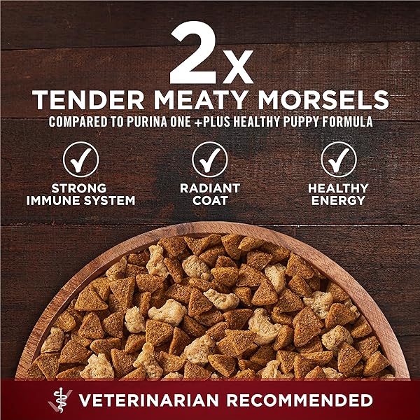 PURINA ONE TRUE INSTINCT WITH REAL CHICKEN AND DUCK HIGH PROTEIN PUPPY FOOD FORMULA NATURAL WITH ADDED VITAMINS, MINERALS AND NUTRIENTS – 7.4 LB. BAG